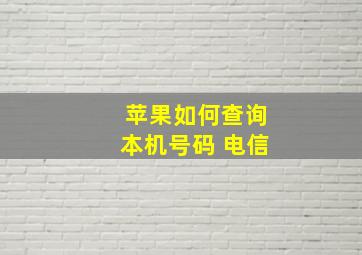 苹果如何查询本机号码 电信